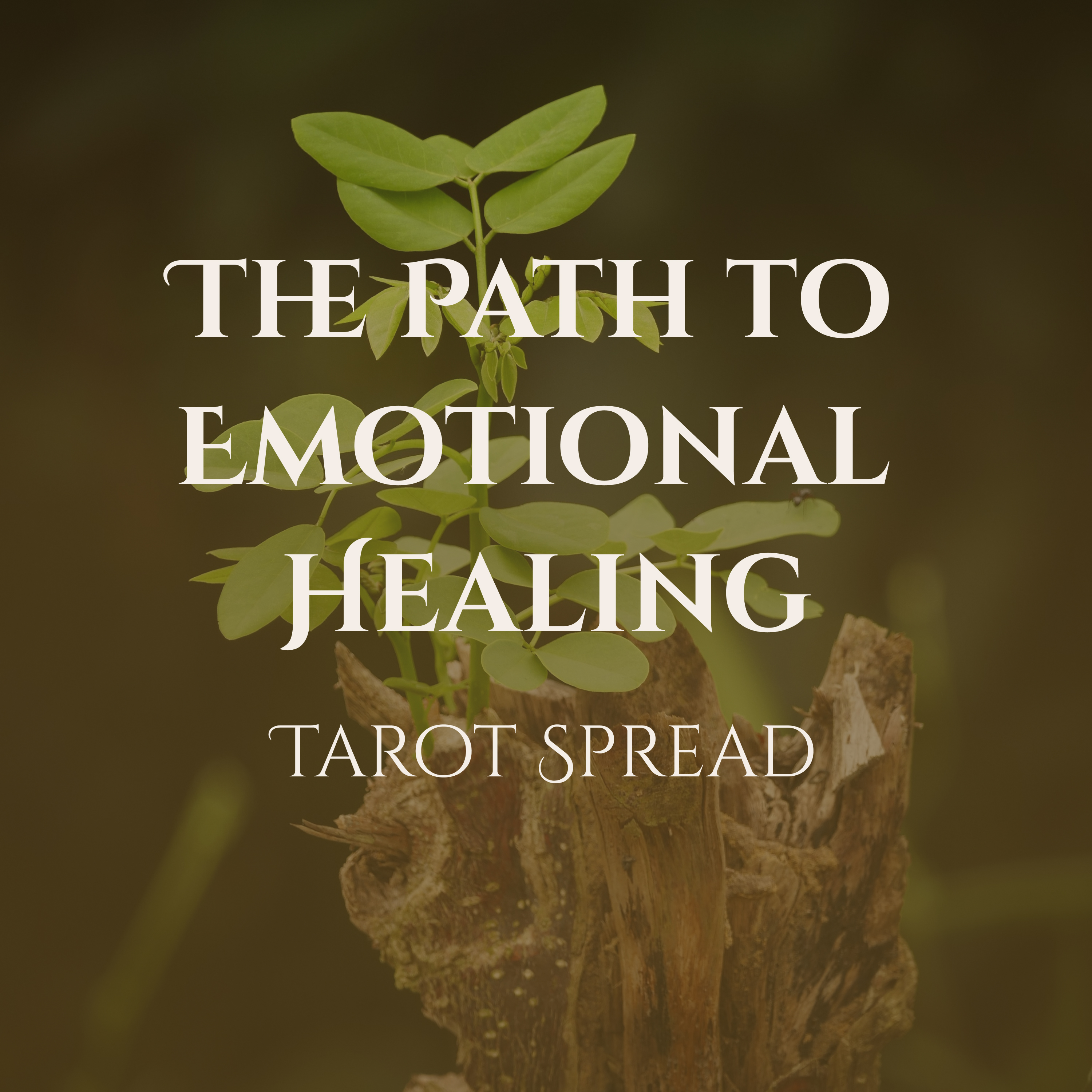 The Path to Emotional Healing a Shadow Work Tarot Spread